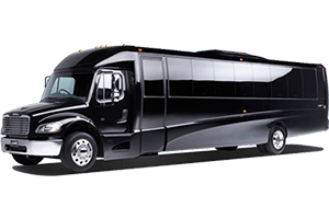 38 Passenger Minicoach